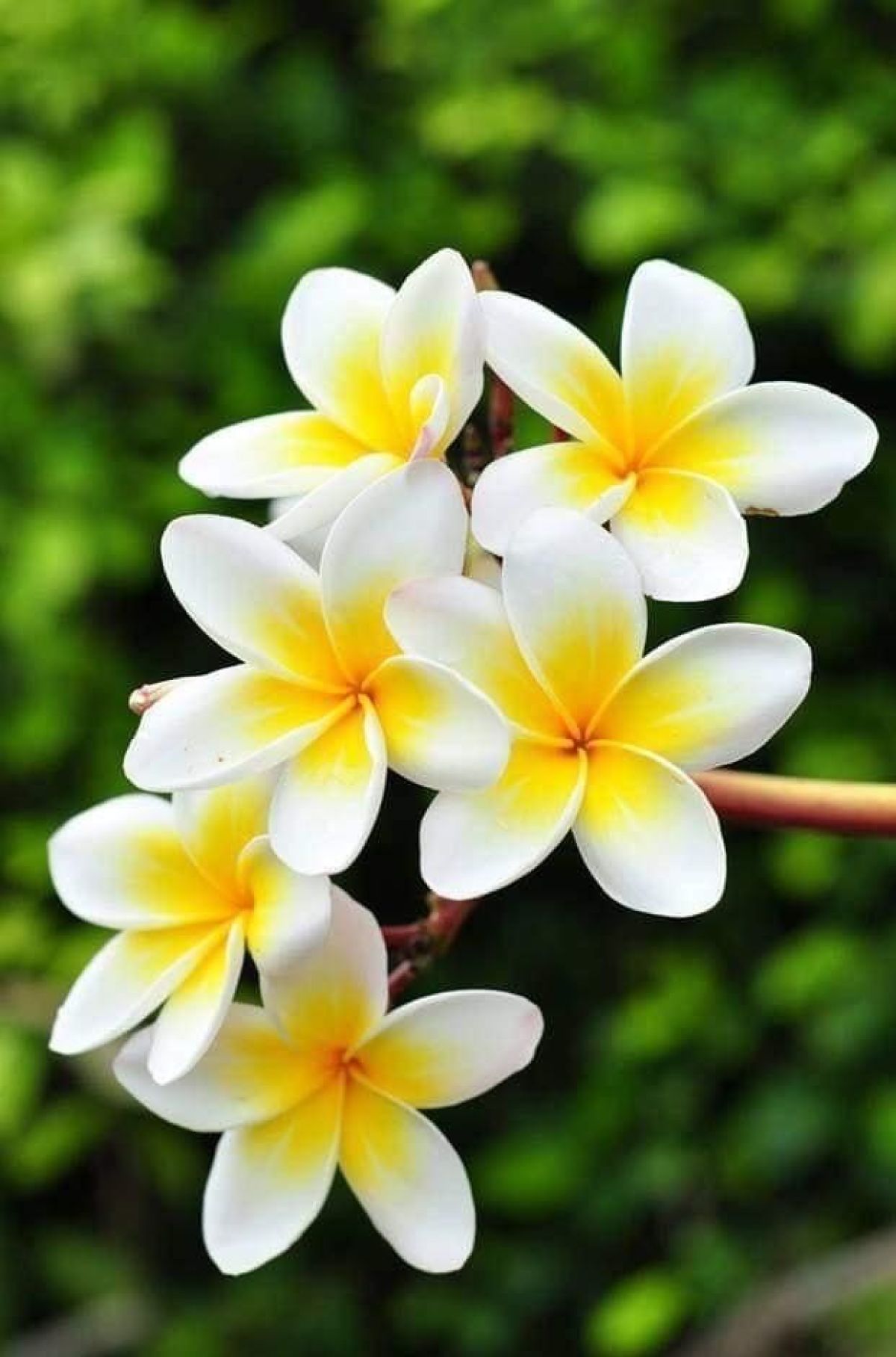 JUAL CEPAT APARTEMEN MTH SQUARE, 2 BED ROOM, FULLY FURNISHED, LOKASI STRATEGIS, JAKARTA TIMUR