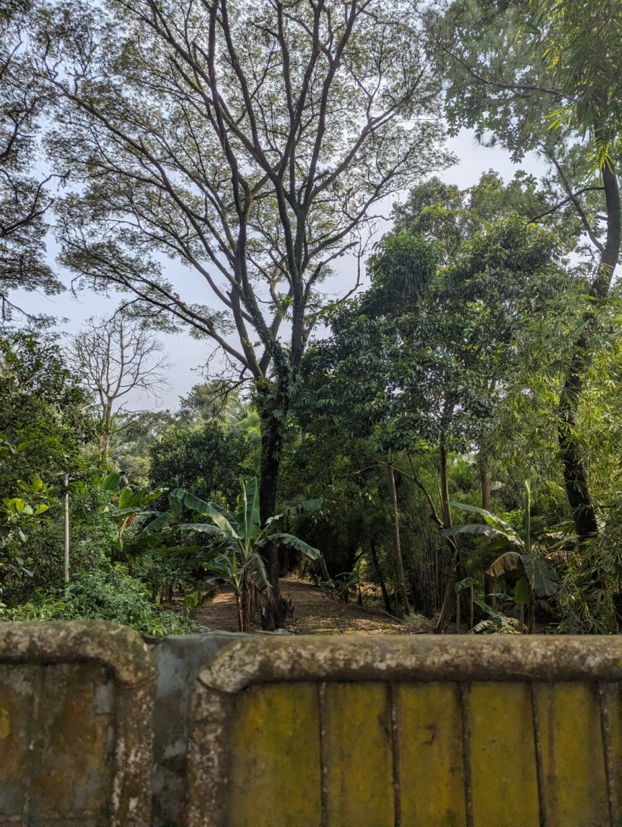 Dijual Kavling Buaran Lokasi Bagus Pinggir Jalan Daerah Pamulang - Foto 2