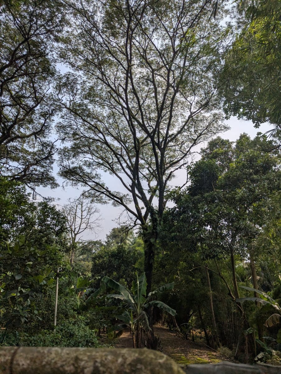 Dijual Kavling Buaran Lokasi Bagus Pinggir Jalan Daerah Pamulang