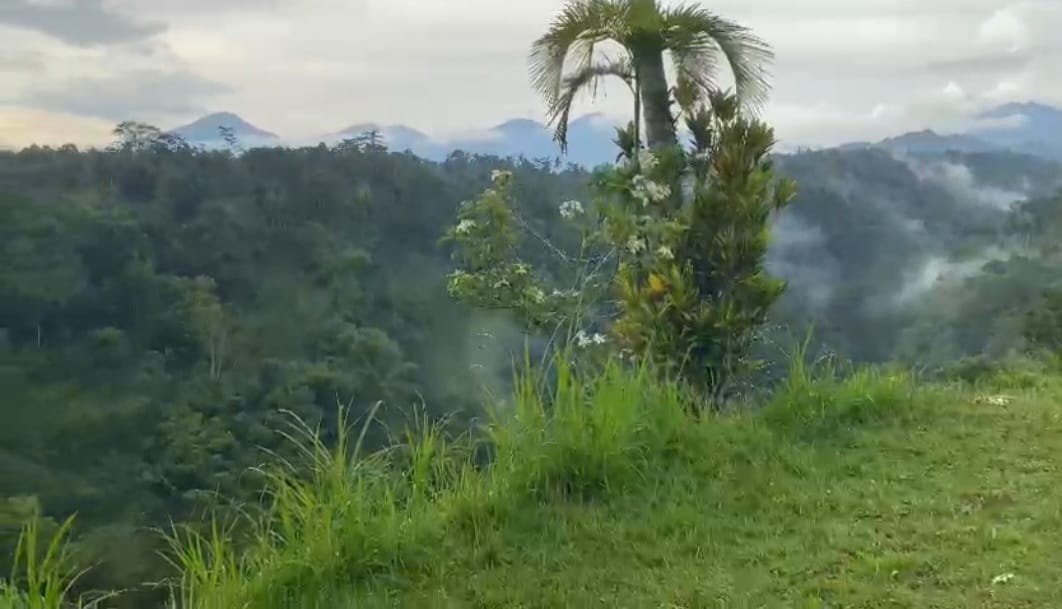 Jual lahan  eksotis ada air terjun dan diapit 2 sungai 7,9 ha, Ubud Bal