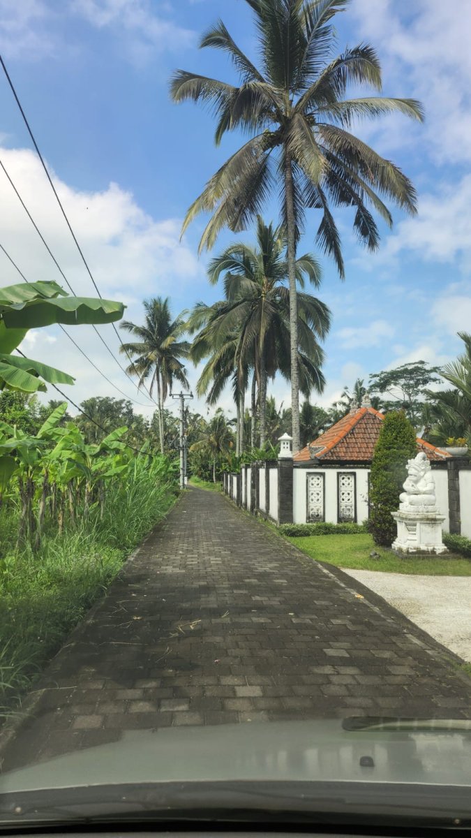 Jual lahan  eksotis ada air terjun dan diapit 2 sungai 7,9 ha, Ubud Bal - Foto 2