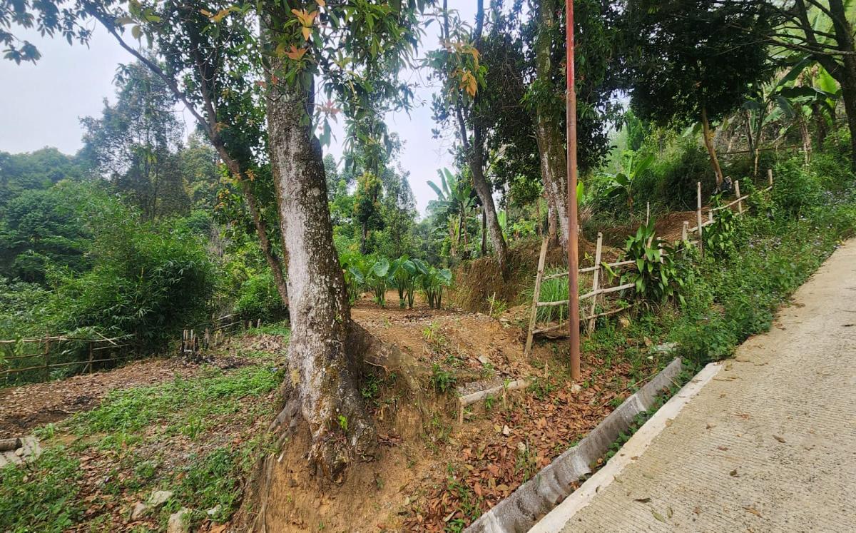 Dijual Tanah Luas dan Strategis - Tajur Halang, Cijeruk , Kota Bogor - Foto 3