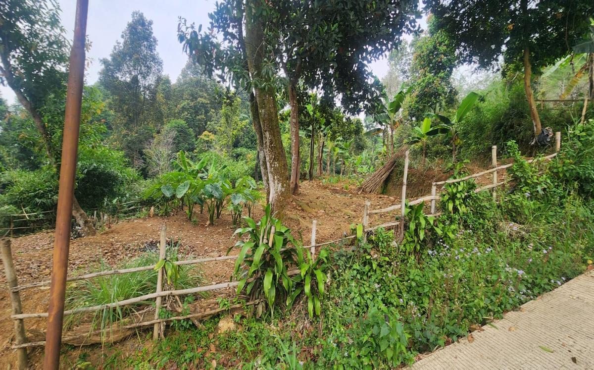 Dijual Tanah Luas dan Strategis - Tajur Halang, Cijeruk , Kota Bogor