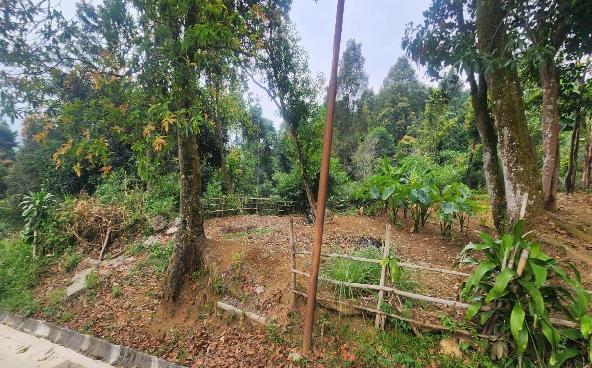 Dijual Tanah Luas dan Strategis - Tajur Halang, Cijeruk , Kota Bogor - Foto 5