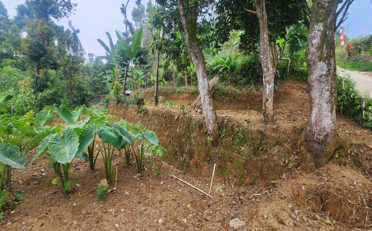 Dijual Tanah Luas dan Strategis - Tajur Halang, Cijeruk , Kota Bogor - Foto 6