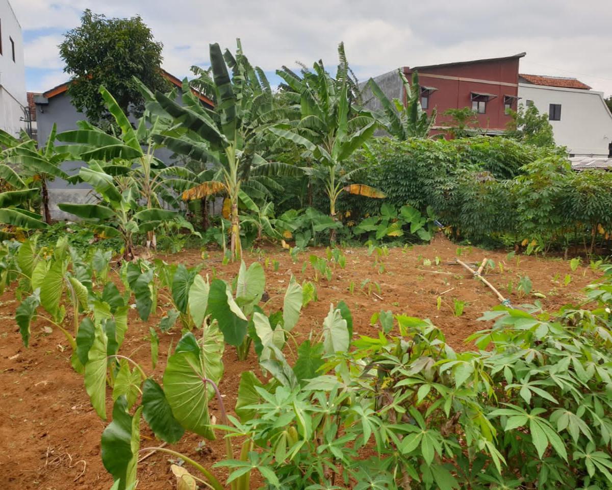 Tanah Strategis di Muara Sari Tajur Bogor Selatan - Peluang Investasi Terbaik - Foto 2