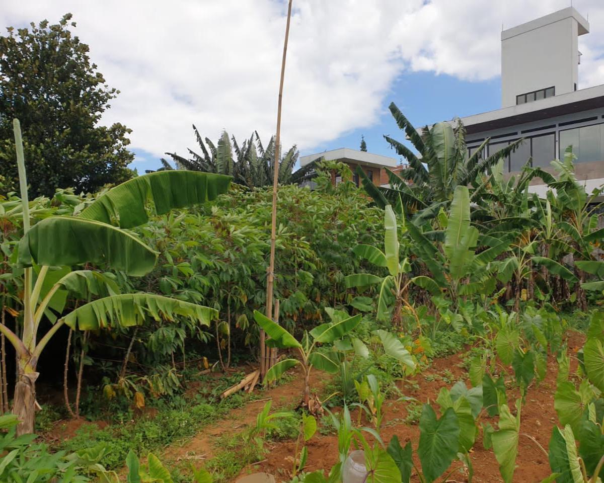 Tanah Strategis di Muara Sari Tajur Bogor Selatan - Peluang Investasi Terbaik - Foto 3