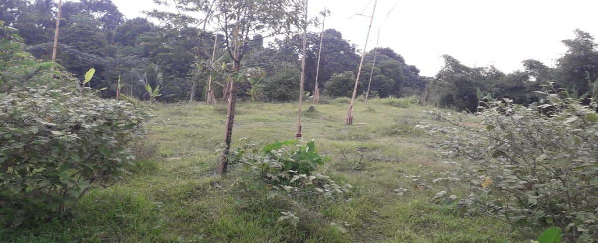 Tanah Strategis di Muara Sari Tajur Bogor Selatan - Peluang Investasi Terbaik - Foto 4