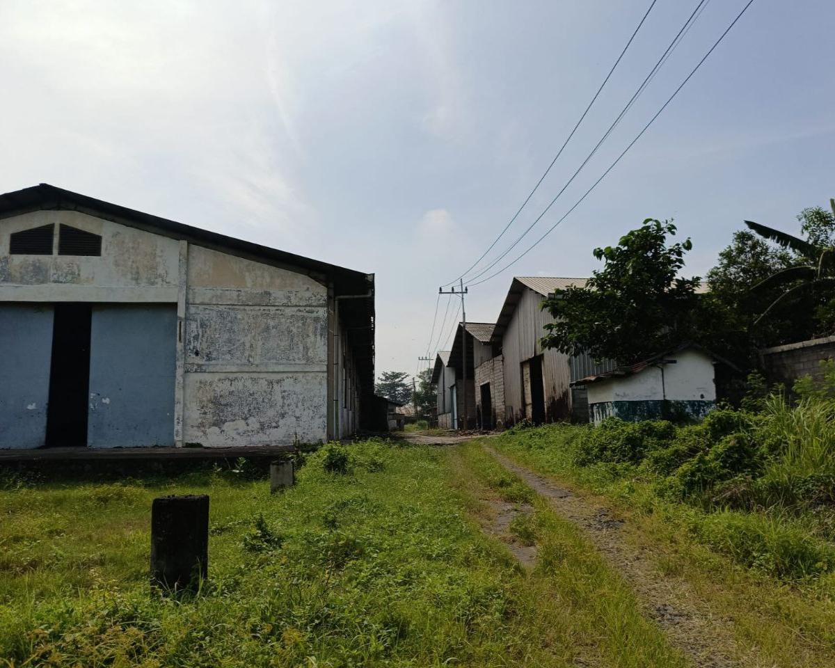 Jual Cepat AJB Lahan Ex Pabrik Lokasi Purwosari Pasuruan Jatim - Foto 4