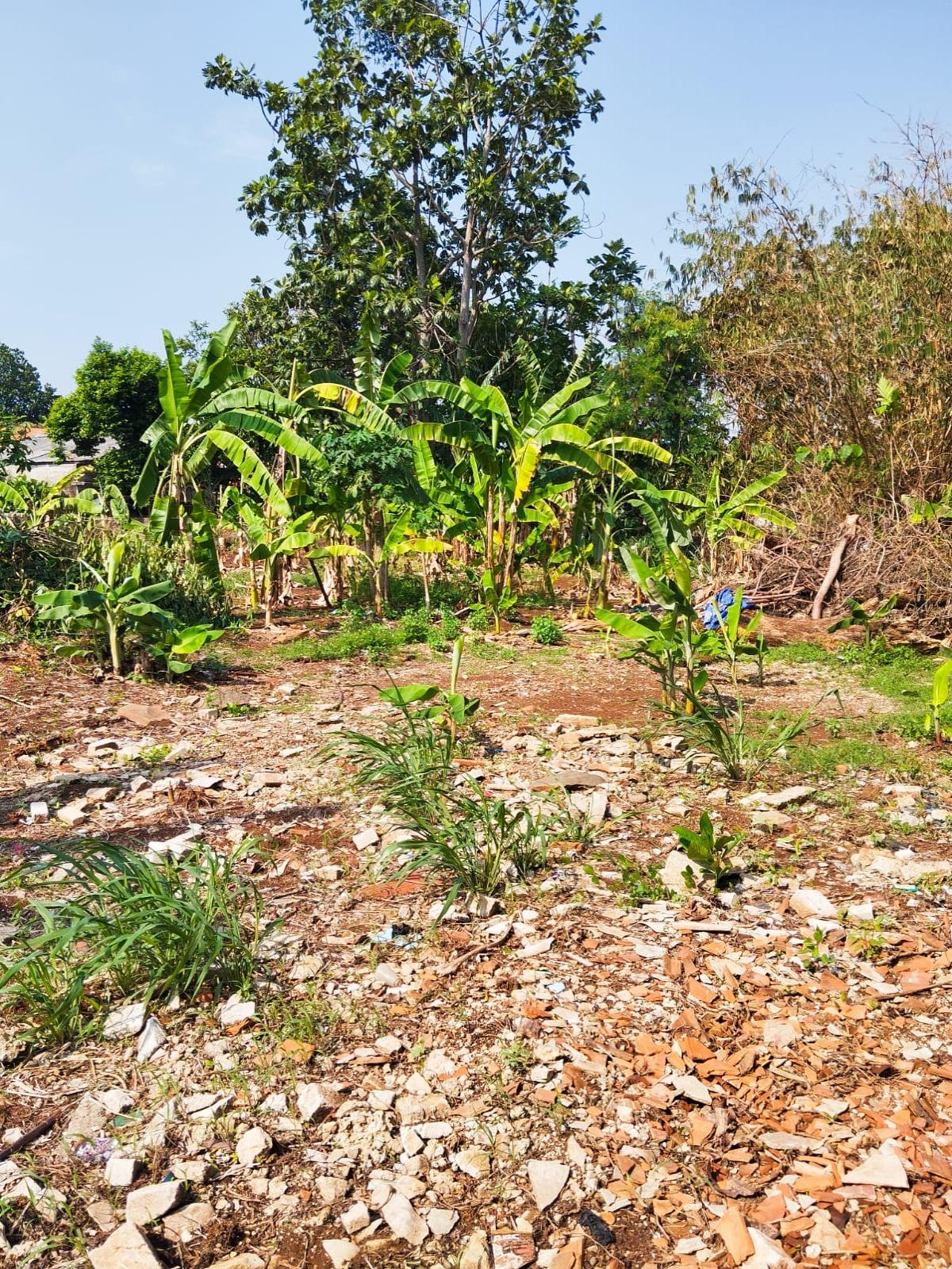 Tanah di Pamulang - Foto 2