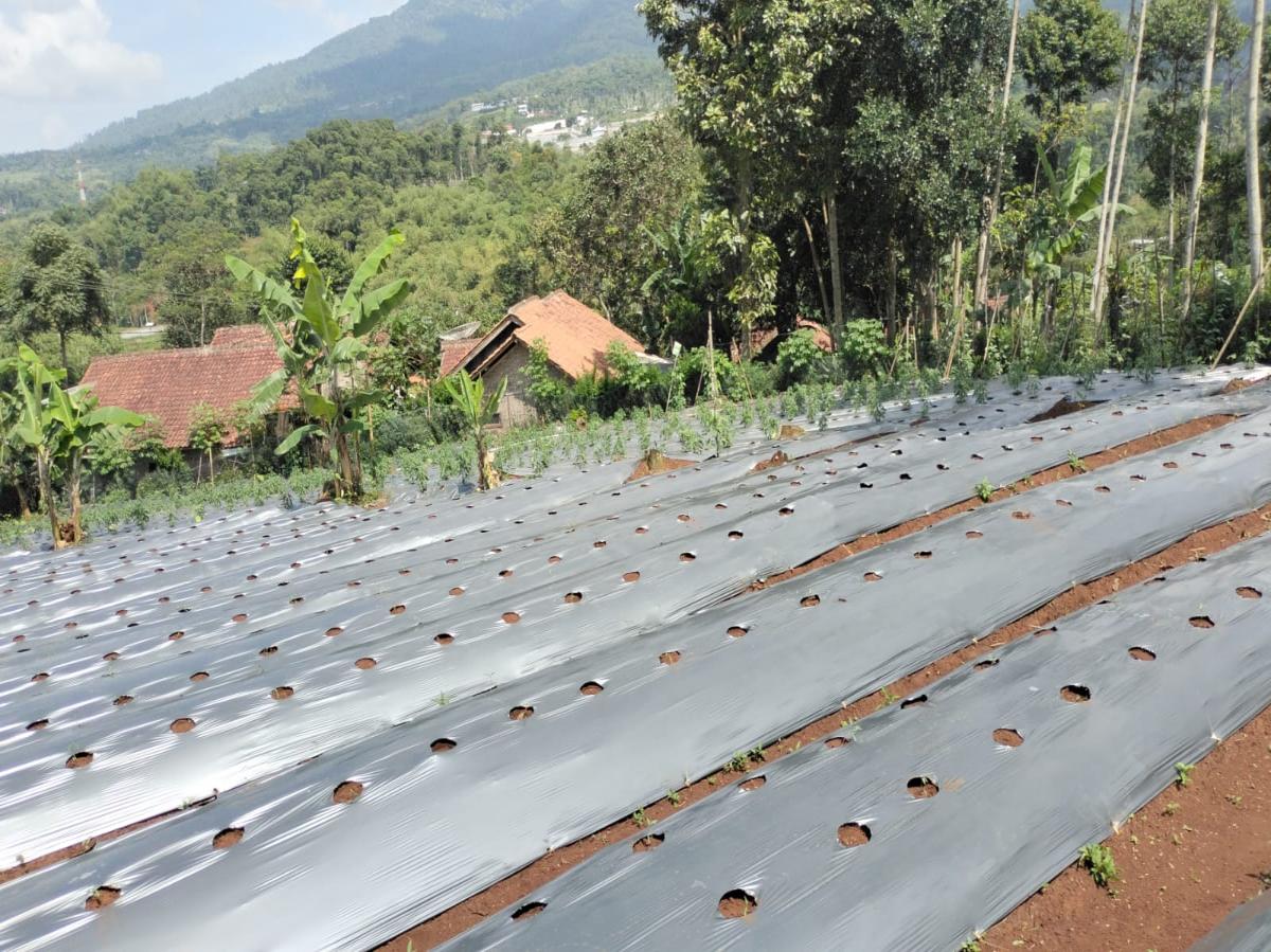 Dijual lahan di Sumedang jawa barat - Foto 3