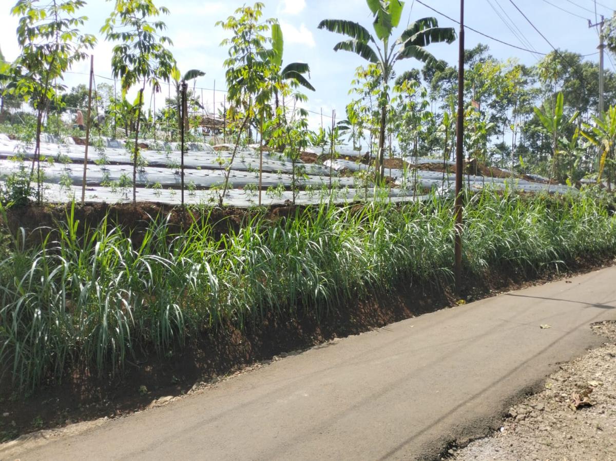 Dijual lahan di Sumedang jawa barat - Foto 4