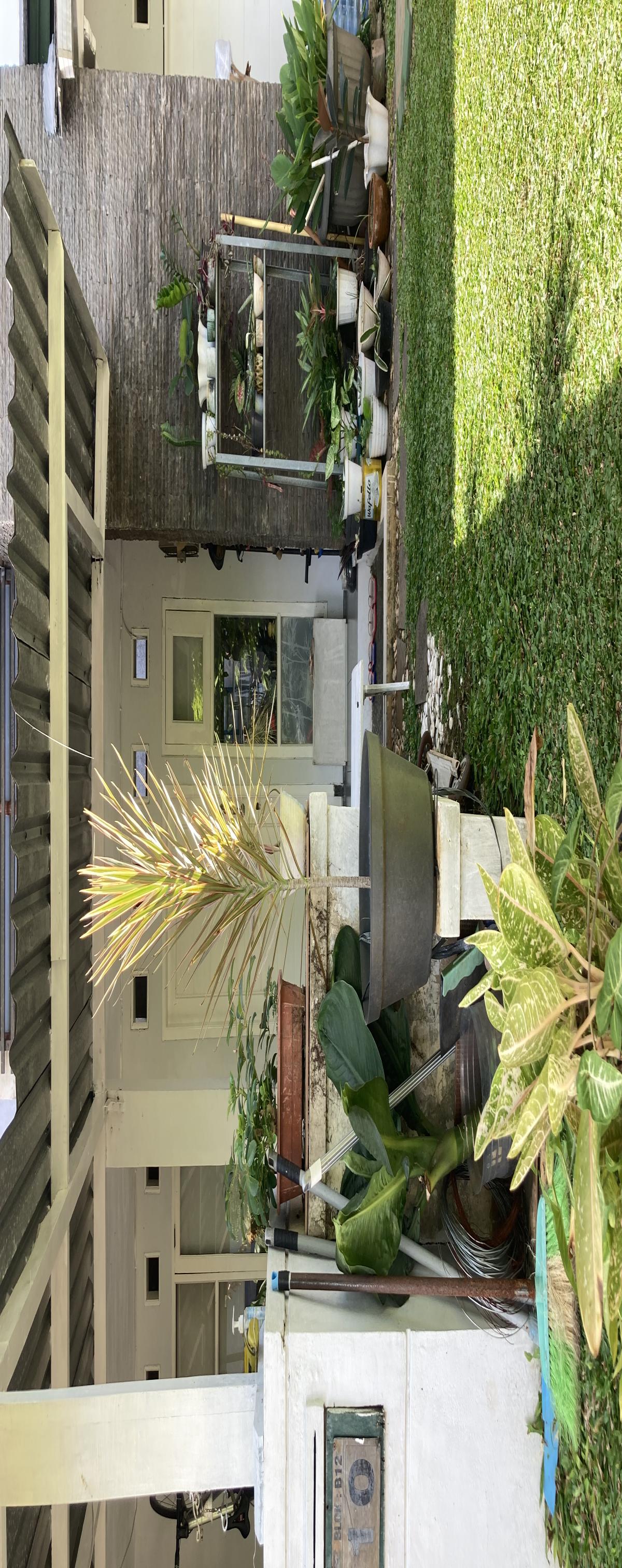 Rumah minimalis 1 lantai