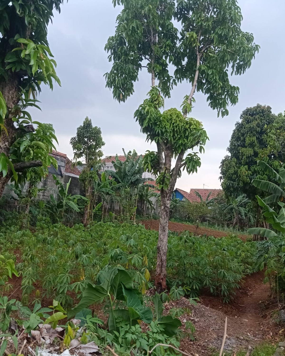 Kavling Siap Bangun di Cilebut Kota Bogor – Akses Mudah, Lokasi Strategis