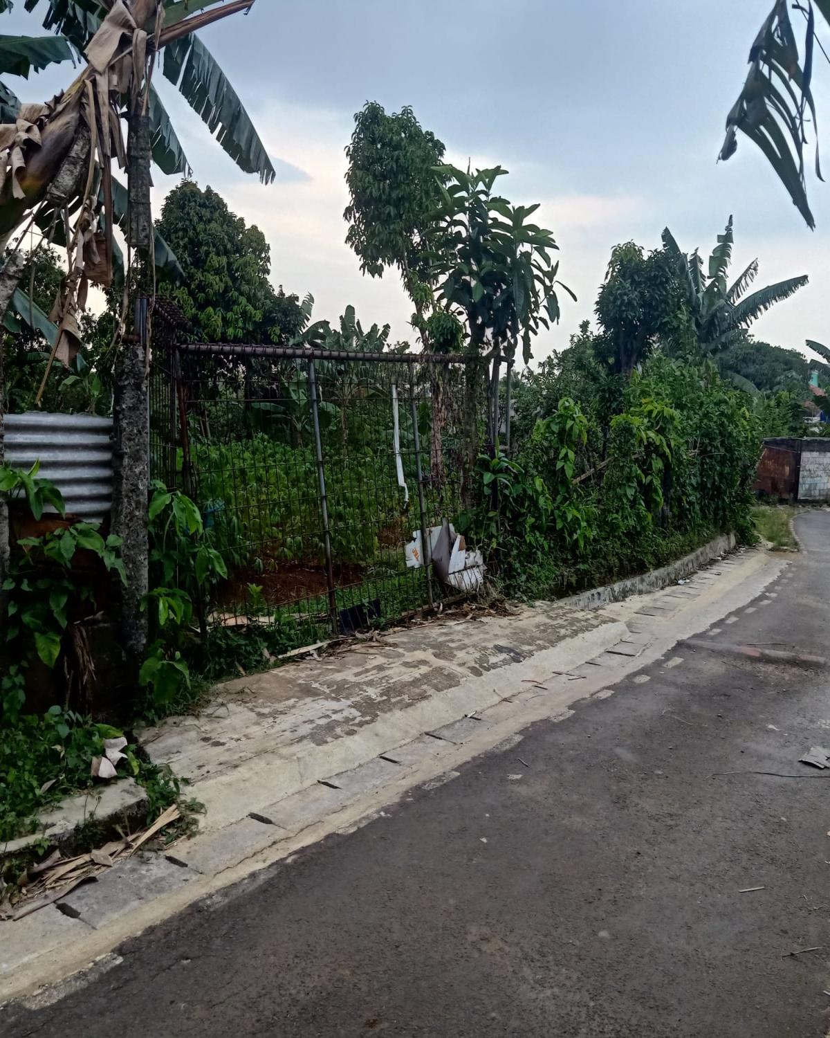 Kavling Siap Bangun di Cilebut Kota Bogor – Akses Mudah, Lokasi Strategis - Foto 3