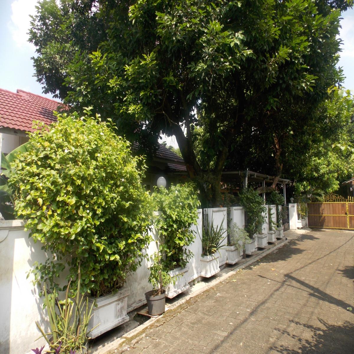 Dijual rumah luas di jl cempaka Rengas Ciputat Timur Tangsel - Foto 12