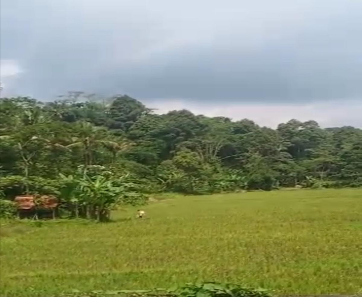 Dijual Tanah dekat Tempat Wisata di Subang Jawa Barat - Foto 3