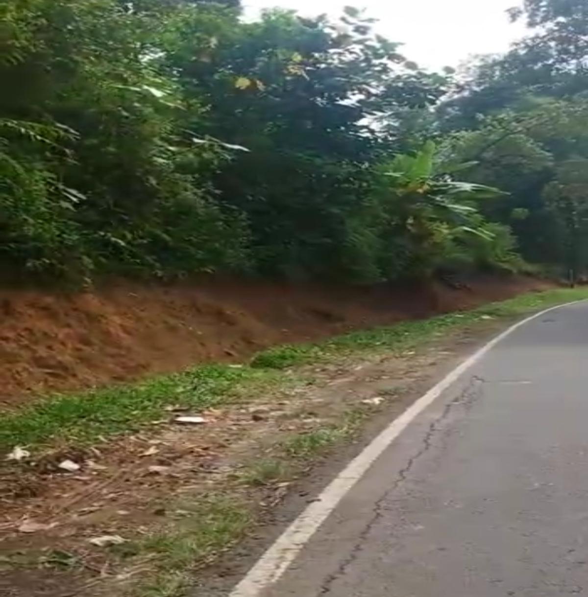 Dijual Tanah dekat Tempat Wisata di Subang Jawa Barat - Foto 4