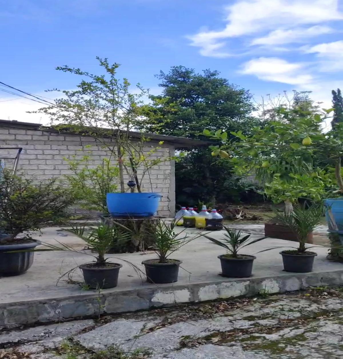 Dijual rumah dekat tempat wisata di Lembang Bandung Jawa Barat - Foto 5