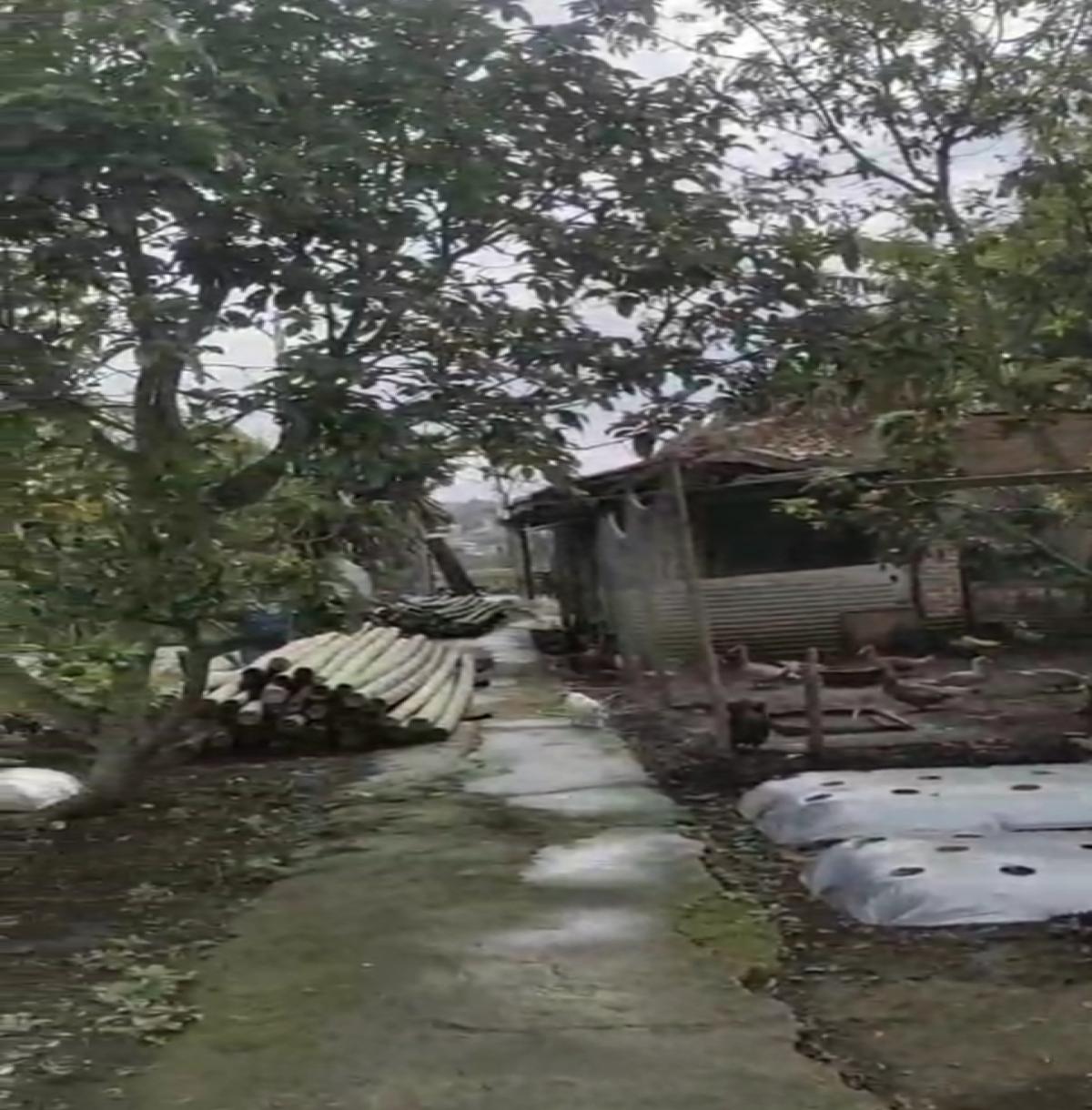 Dijual rumah dekat tempat wisata di Lembang Bandung Jawa Barat - Foto 8