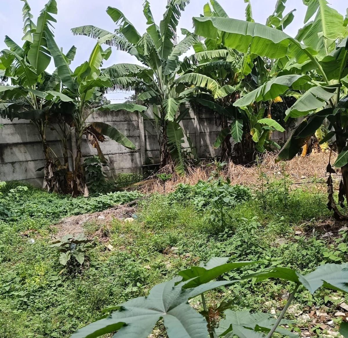 Dijual Tanah Luas 975 m² - 8 Menit dari Exit Toll Jelupang, Tangerang Selatan - Foto 5