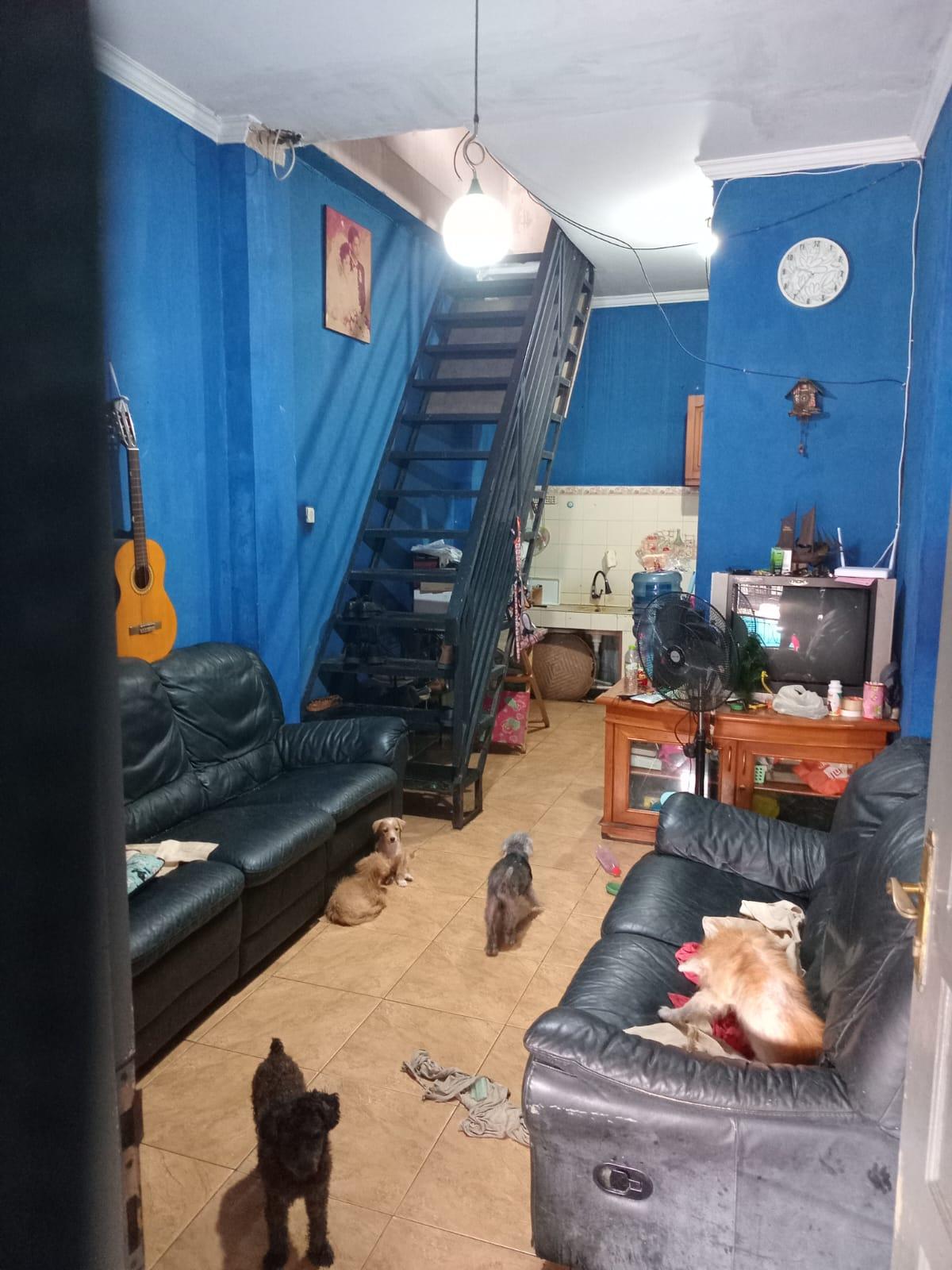 Dijual Rumah Minimalis 1.5 Lantai di Regency Melati Mas - Foto 4