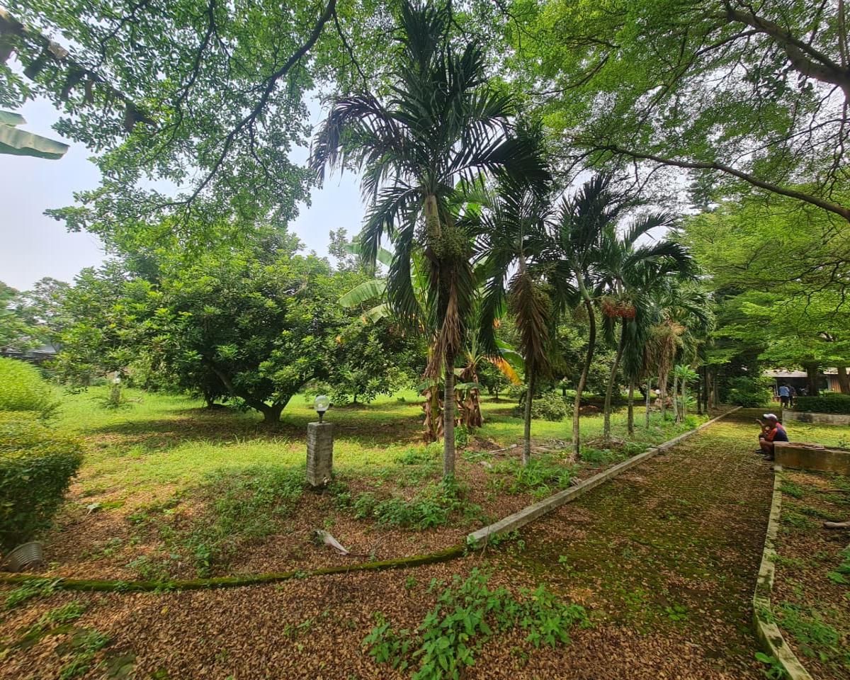 Jarang Ada Tanah 3.495 m²  di dalam Komplek, Siap bangun Cluster di Tangerang Selatan - Foto 10