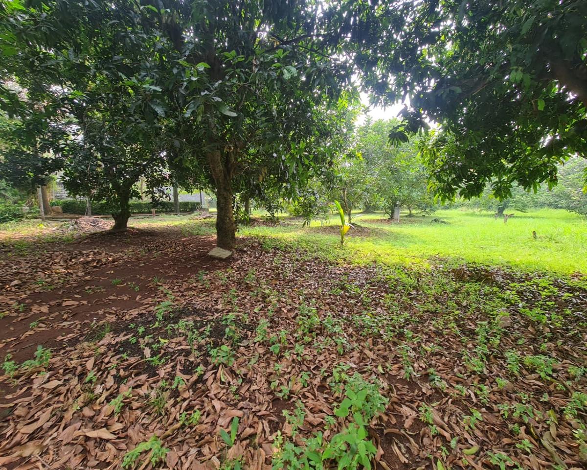 Jarang Ada Tanah 3.495 m²  di dalam Komplek, Siap bangun Cluster di Tangerang Selatan - Foto 11