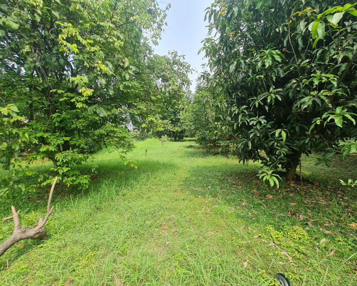 Jarang Ada Tanah 3.495 m²  di dalam Komplek, Siap bangun Cluster di Tangerang Selatan - Foto 12