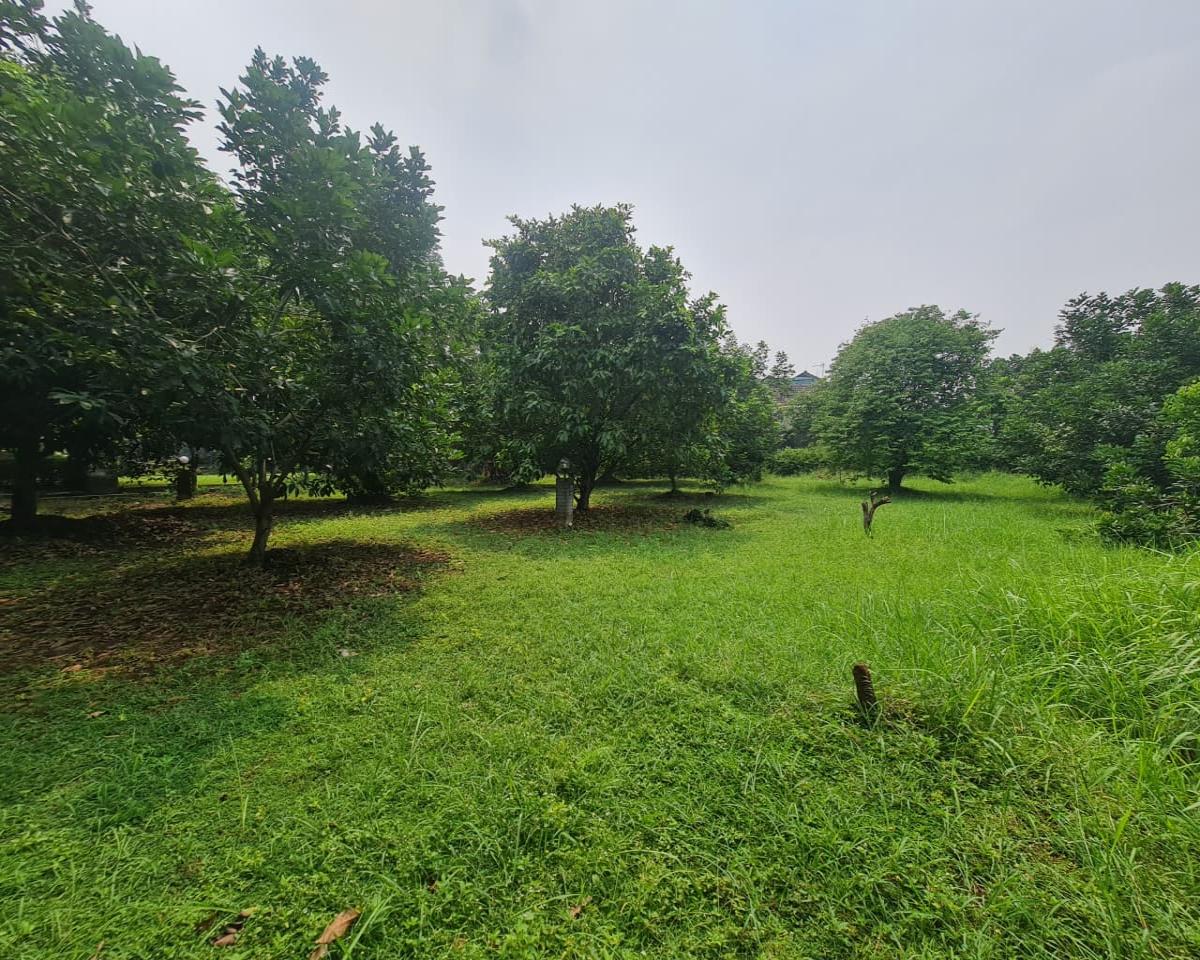 Jarang Ada Tanah 3.495 m²  di dalam Komplek, Siap bangun Cluster di Tangerang Selatan - Foto 13