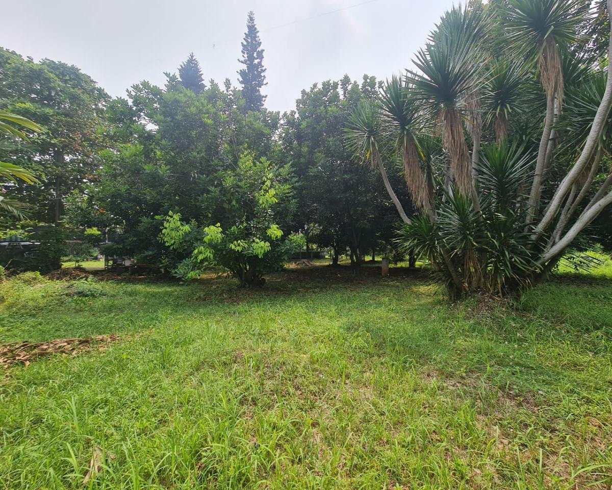 Jarang Ada Tanah 3.495 m²  di dalam Komplek, Siap bangun Cluster di Tangerang Selatan - Foto 14