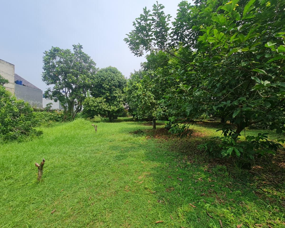 Jarang Ada Tanah 3.495 m²  di dalam Komplek, Siap bangun Cluster di Tangerang Selatan - Foto 15