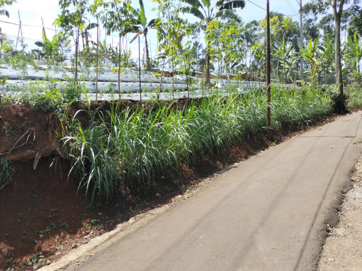 Dijual lahan subur di daerah Pamulihan Sumedang Jawa BArat