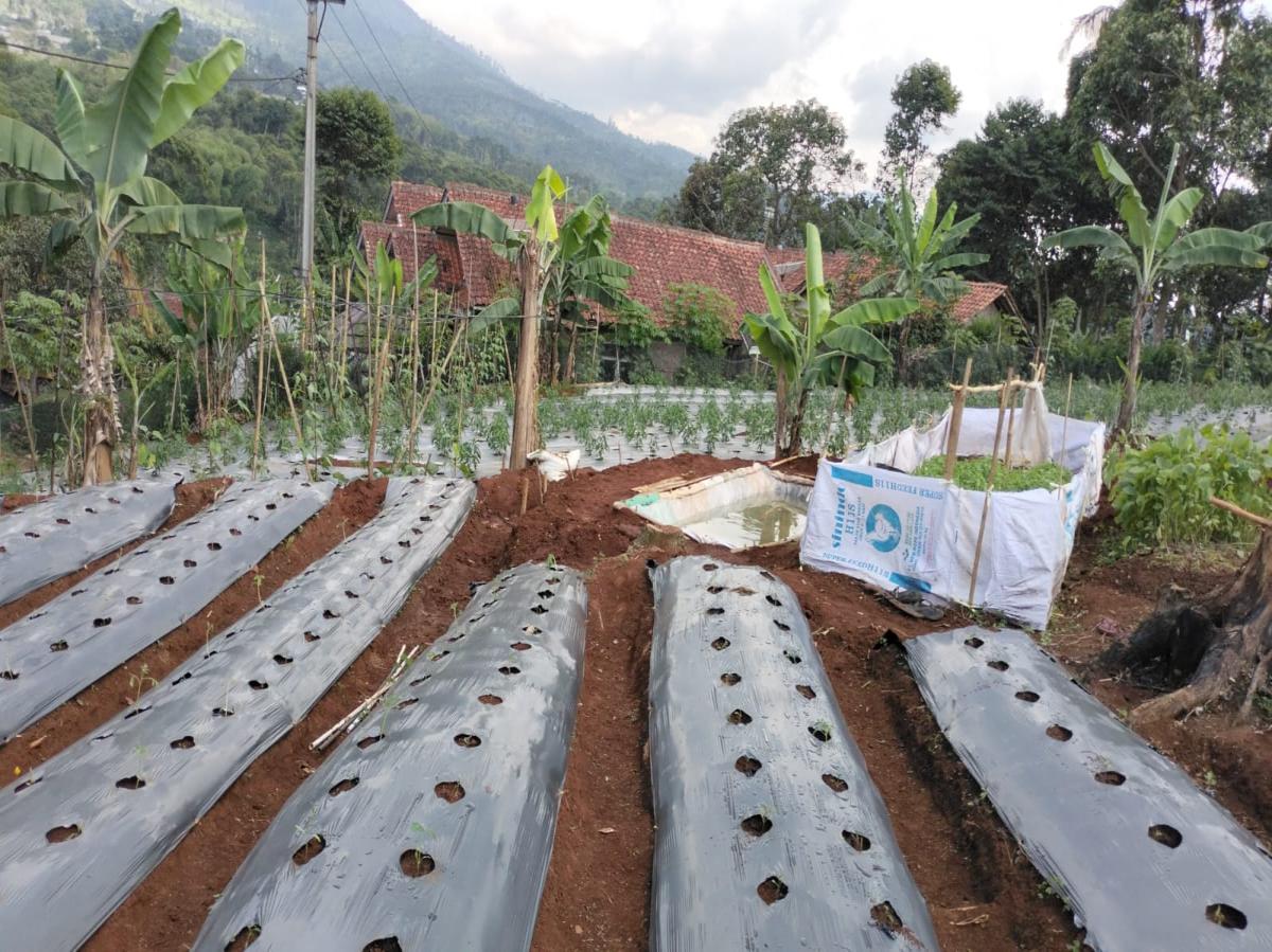 Dijual lahan subur di daerah Pamulihan Sumedang Jawa BArat - Foto 3