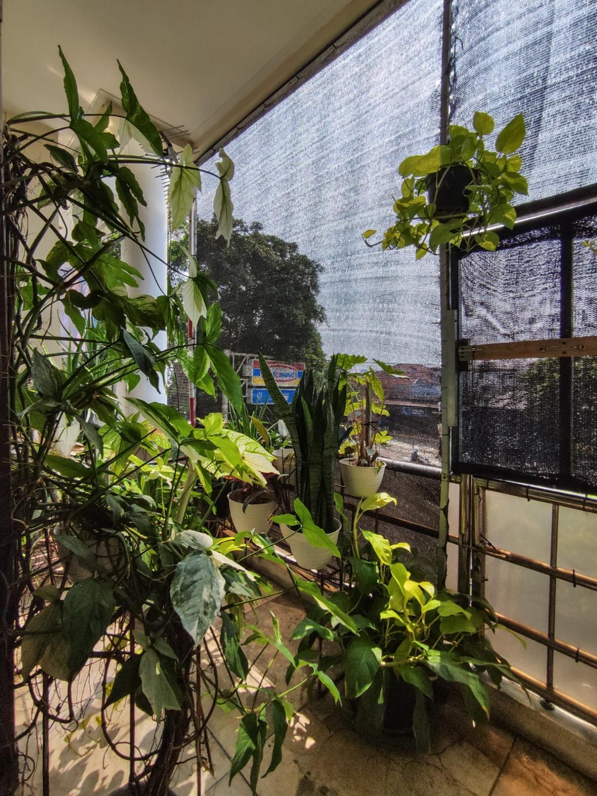 Disewakan Ruko Strategis di Jl. Pahlawan – Cocok untuk Usaha & Kantor, Akses Super Mudah - Foto 4