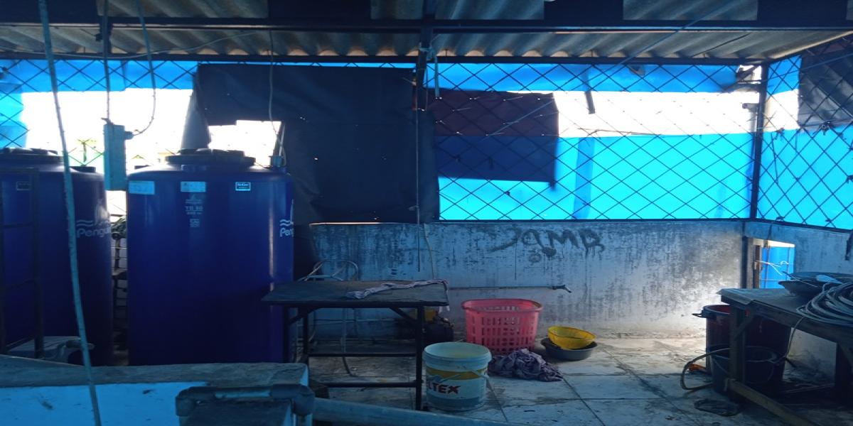 Rumah Cocok Untuk Usaha Dijual Di Sawah Lio Jembatan Lima - Foto 8