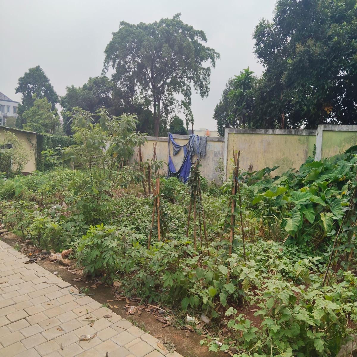 Rumah Hitung Tanah Luas 669 m² di Pesanggrahan, Jakarta Selatan - Foto 4