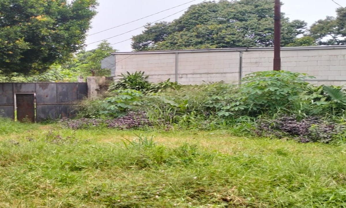 Lahan Luas di Jantung Parung – Akses Mudah & Potensi Tinggi - Foto 3