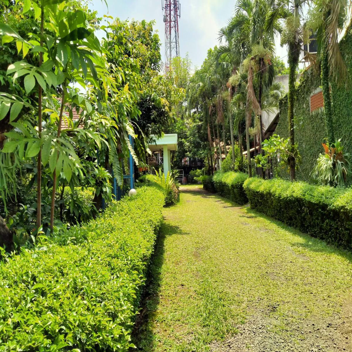 Dijual Rumah Daerah Cireunde Dekat UIN Dekat lab school Dekat MRT Dekat pasar ciputat - Foto 5