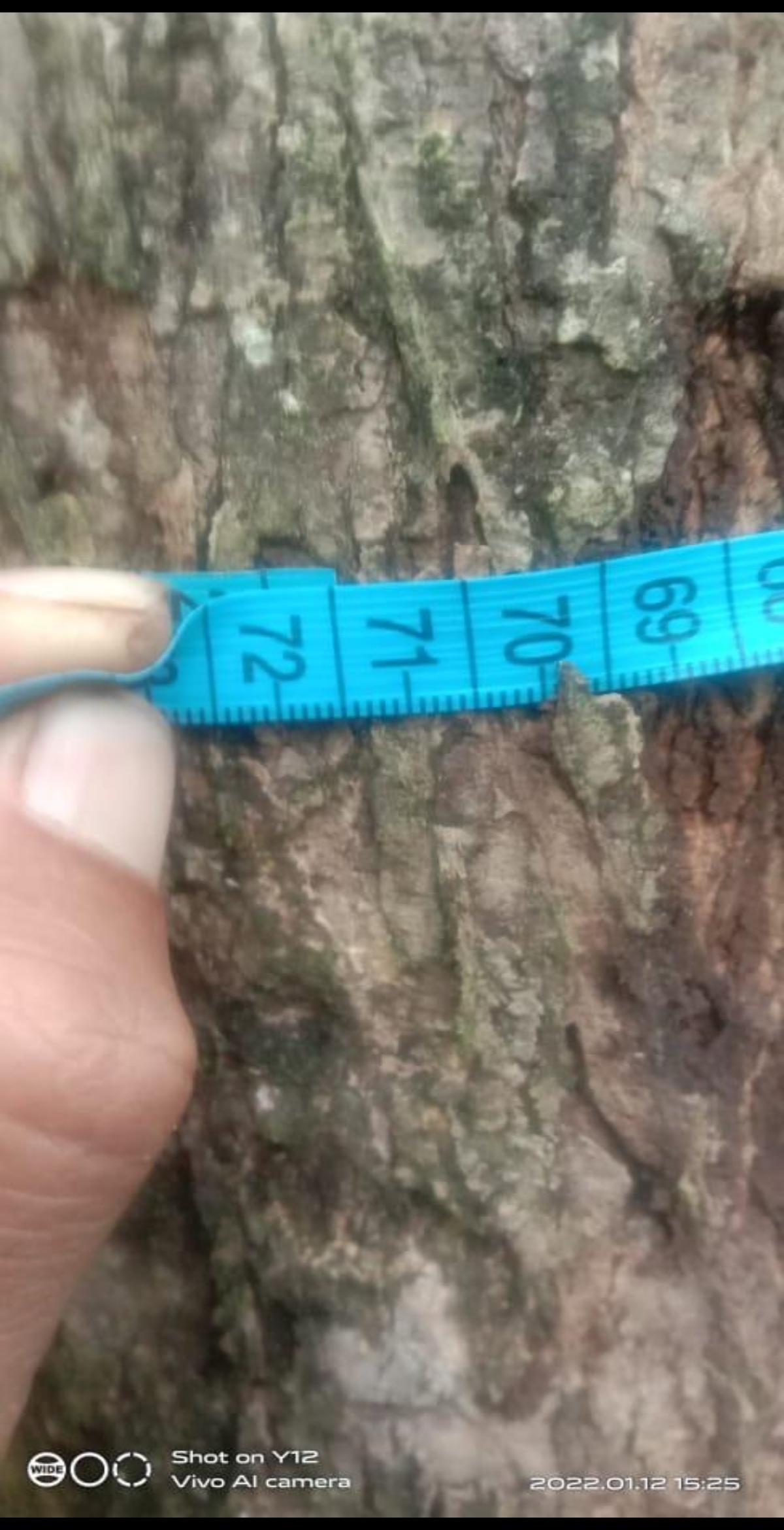 Kebon Jati 16 tahun, agrobisnis dan wisata,  di dekat pantai di Anyer, Merak - Foto 2