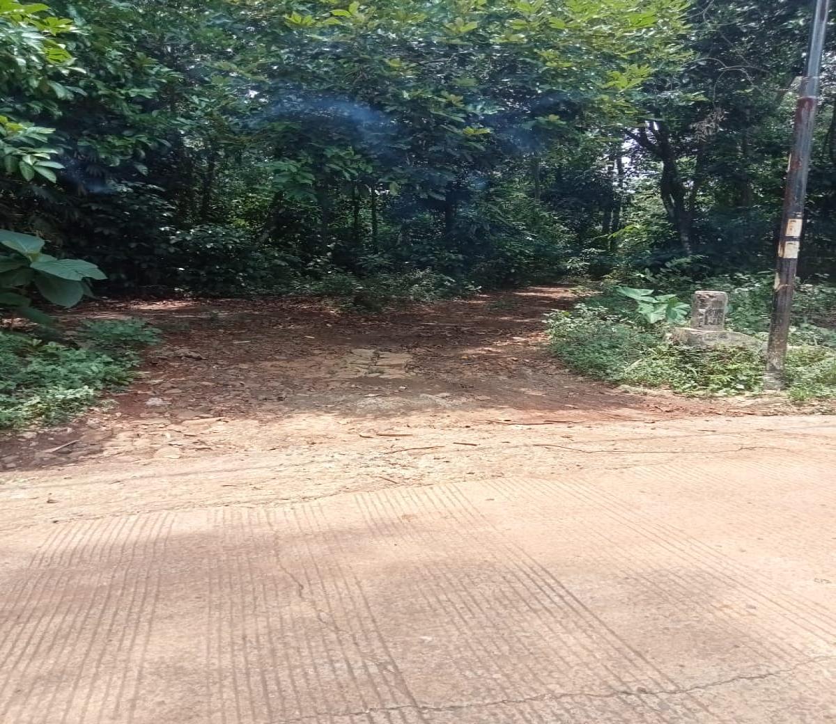 Dijual tanah kebun di KaryaMekar Cariu Bogor Jawa Barat