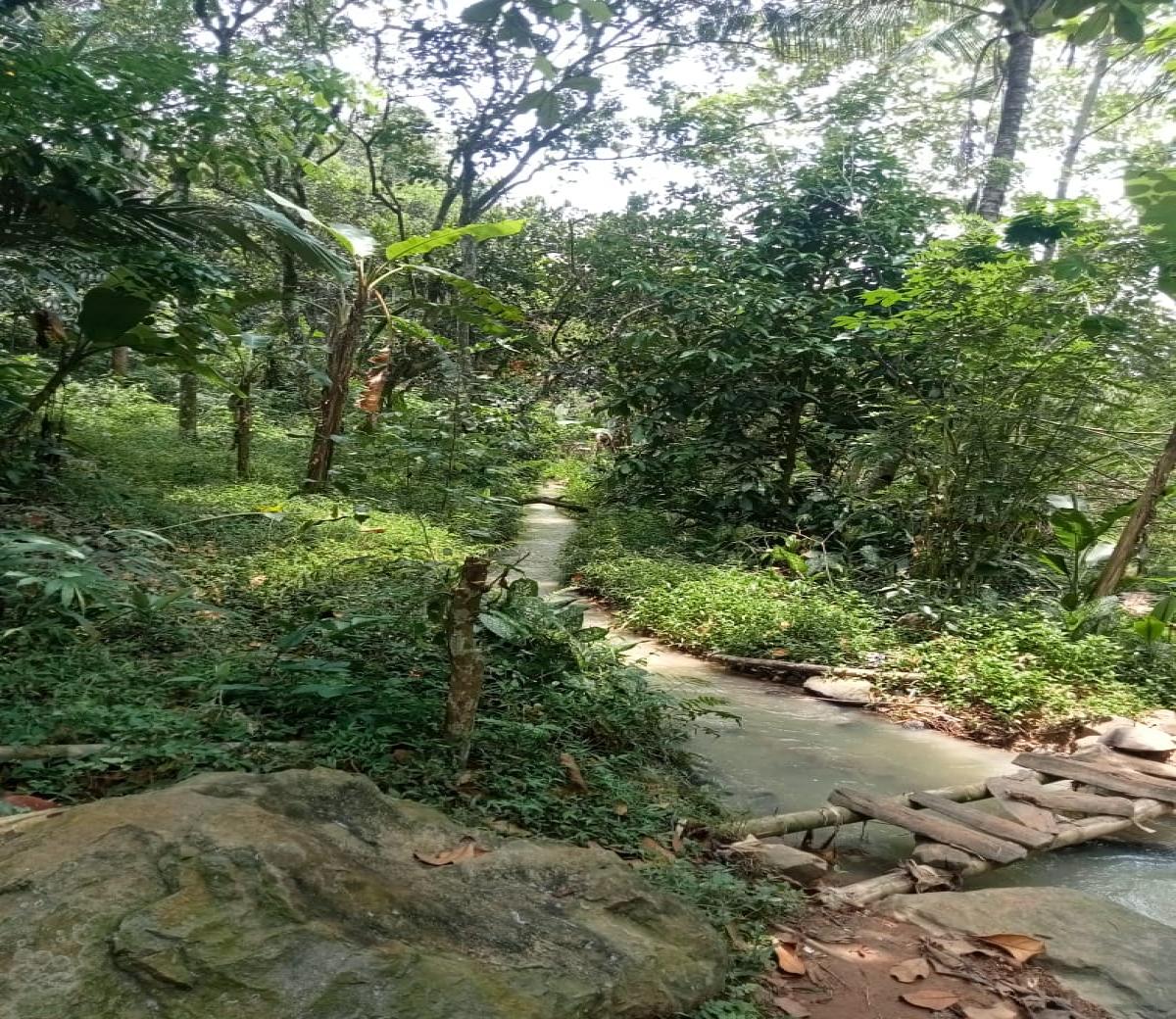 Dijual tanah kebun di KaryaMekar Cariu Bogor Jawa Barat - Foto 4