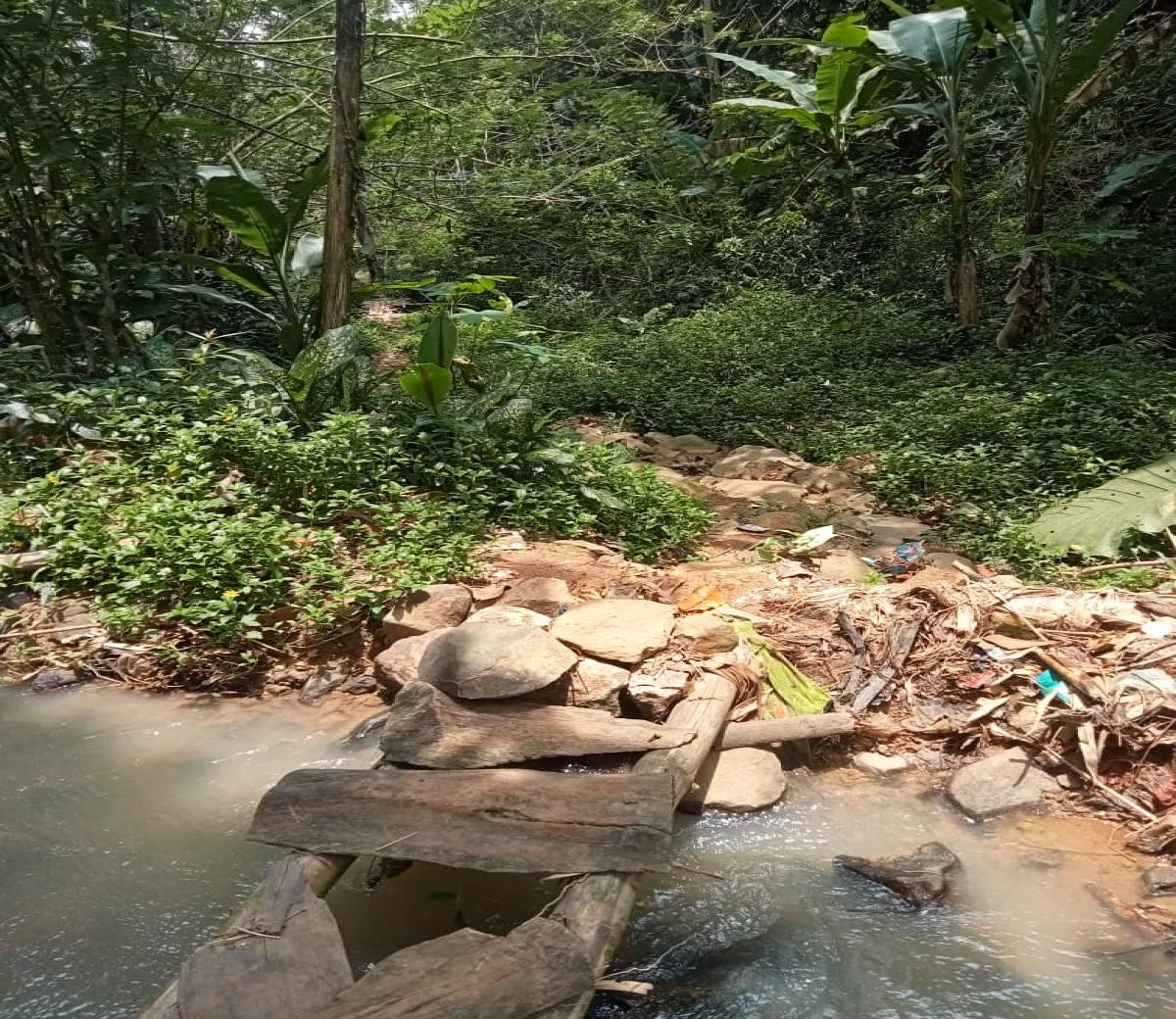 Dijual tanah kebun di KaryaMekar Cariu Bogor Jawa Barat - Foto 5