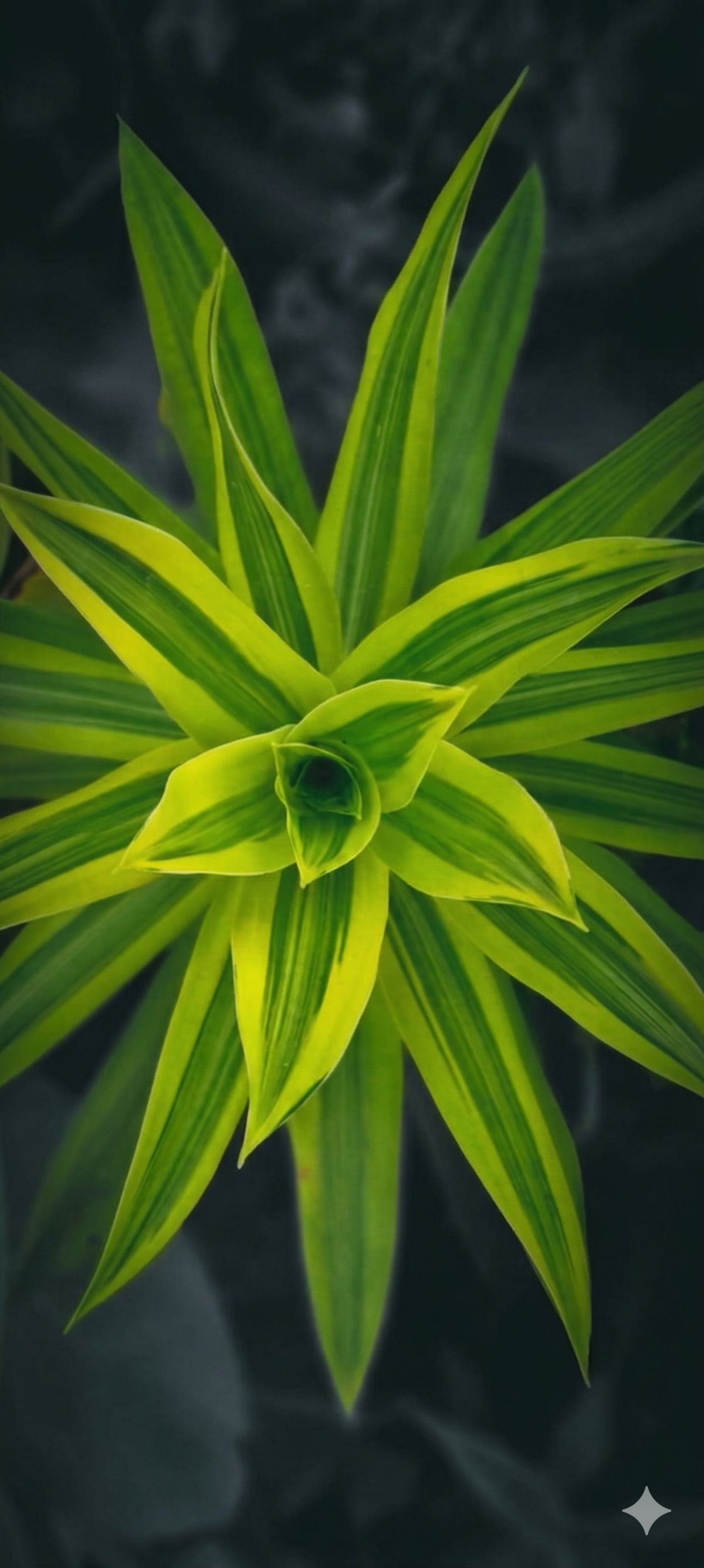 JUAL CEPAT, LAHAN SIAP BANGUN, LT 170 M2, KULDESAK, CLUSTER CITRA GRAND SEMARANG