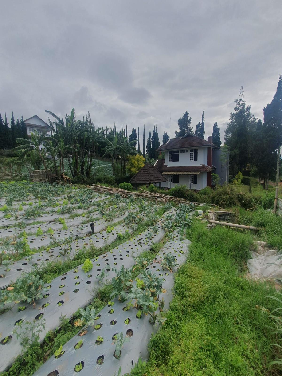 Tanah Asri Bandung - Foto 2