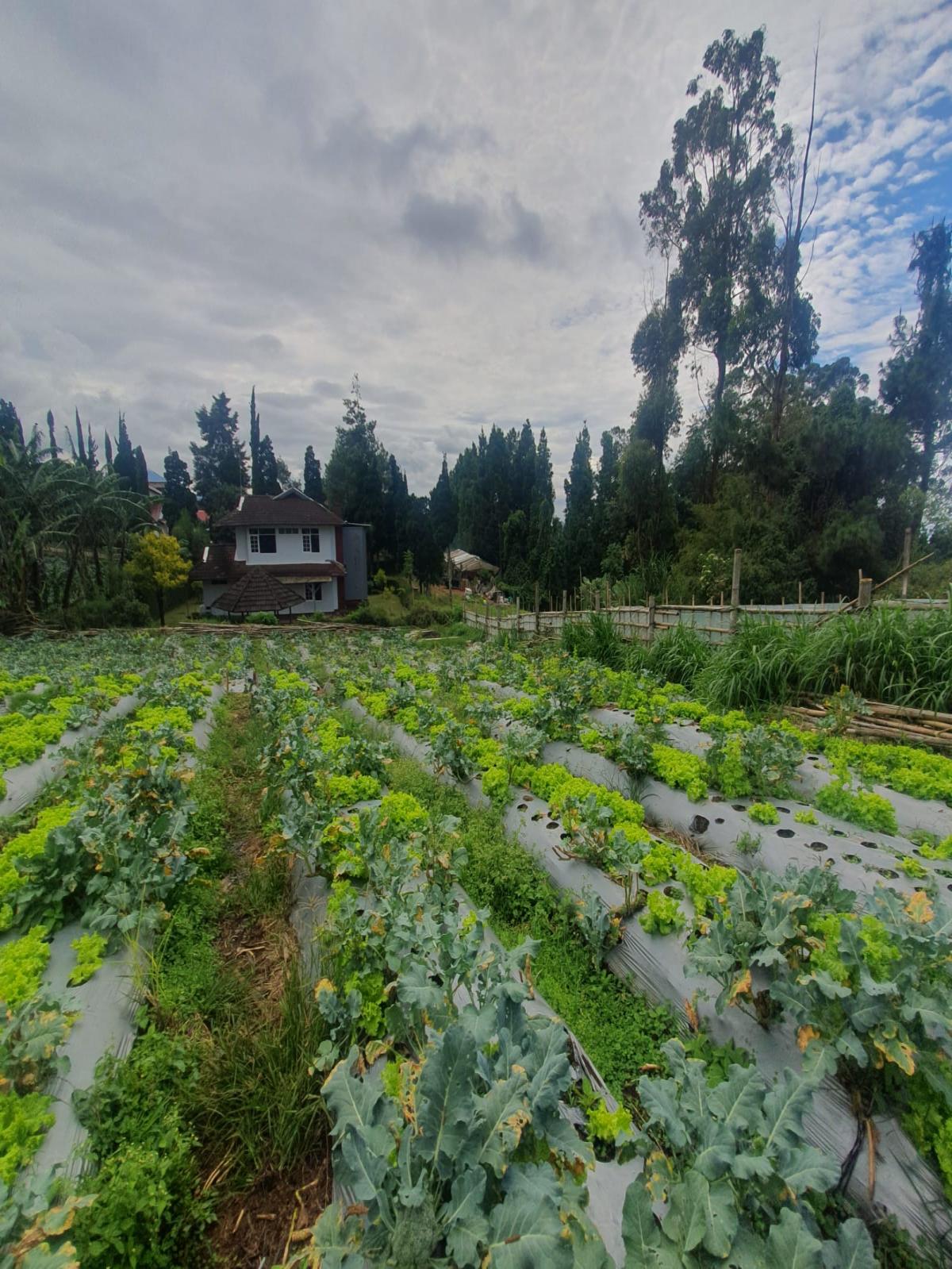 Tanah Asri Bandung - Foto 3