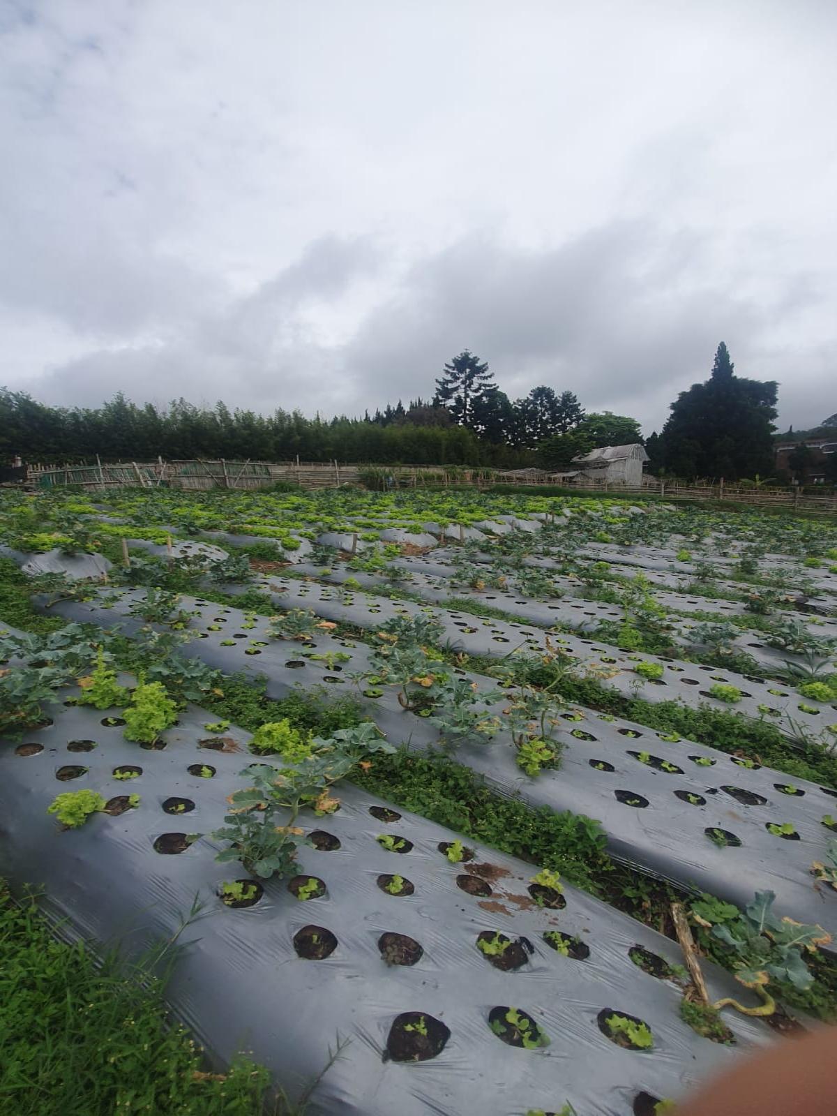 Tanah Asri Bandung - Foto 6