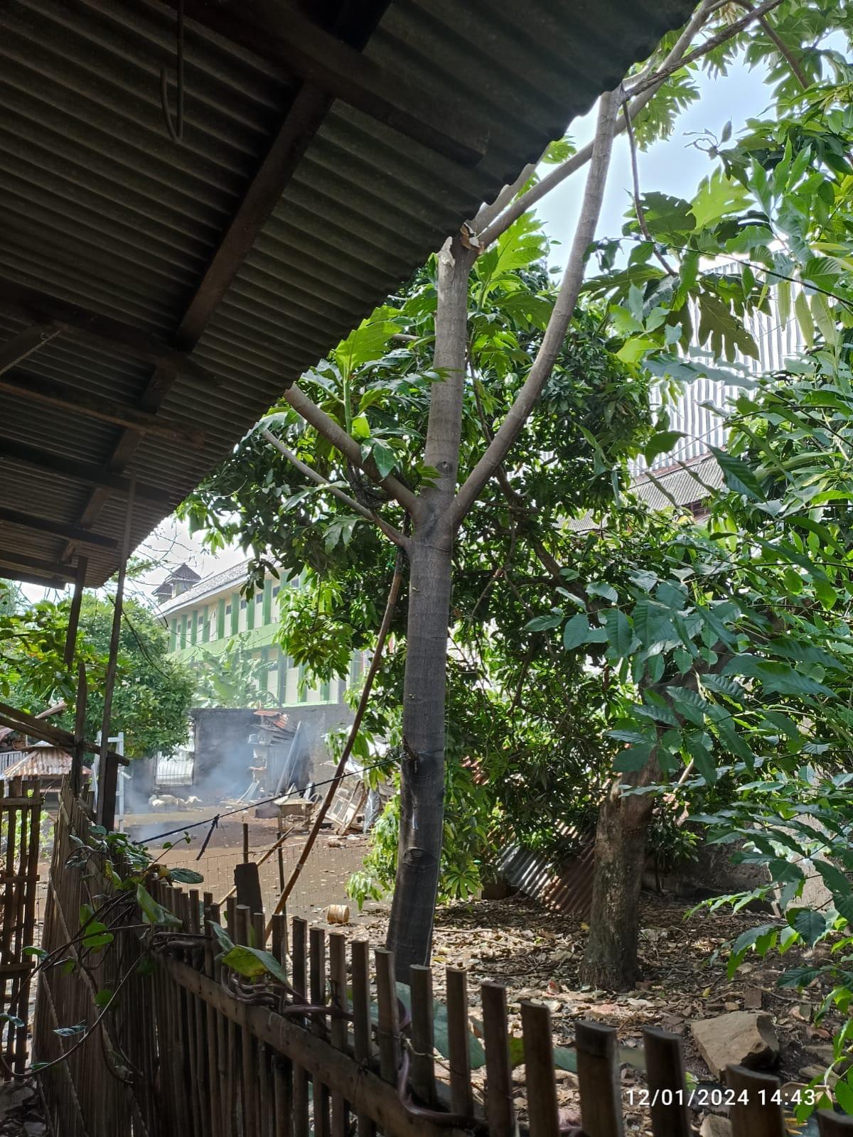 Disewakan Ruko Strategis 2 Lantai di Pinggir Jalan Utama Hasyim Ashari Tangerang Kota - Foto 10