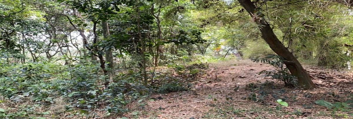 Disewakan atau Jual Tanah Luas 1.600 m² di Jl. Raya Sawangan, Lokasi Strategis! - Foto 2