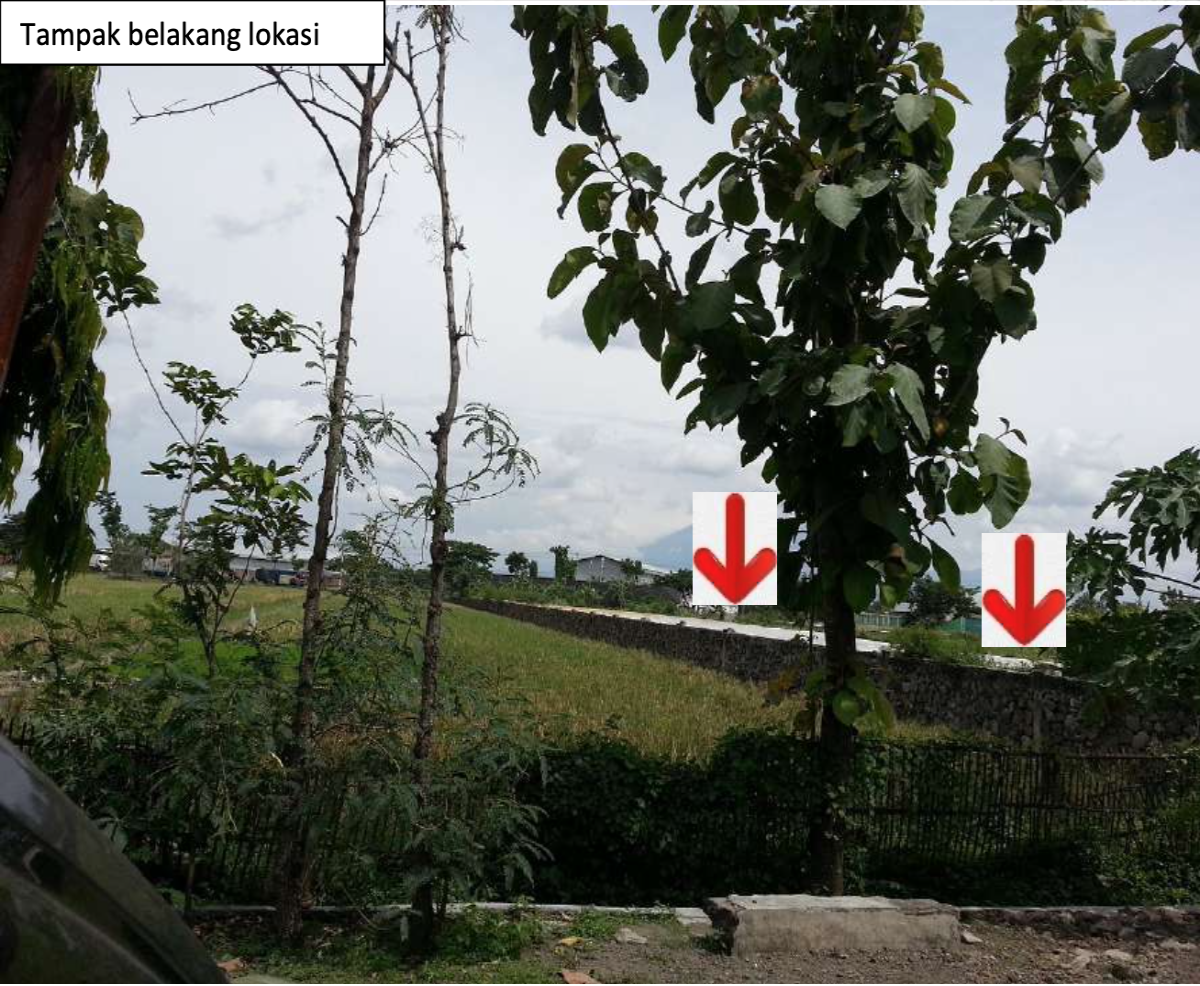 Tanah Luas 2 Hektar Strategis Solo Sragen Bisa Nego - Foto 4